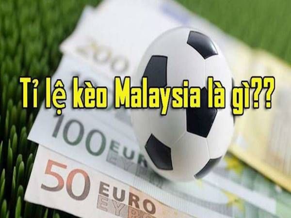 Khái niệm và cách tính tỷ lệ kèo Malaysia như thế nào cho chuẩn xác